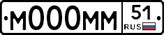 М000ММ51 - 