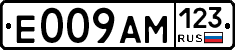 Е009АМ123 - 
