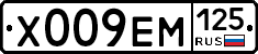 Х009ЕМ125 - 
