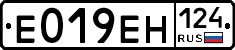 Е019ЕН124 - 