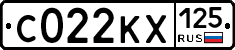С022КХ125 - 