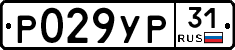 Р029УР31 - 