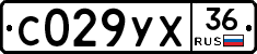 С029УХ36 - 