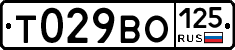 Т029ВО125 - 