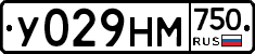 У029НМ750 - 