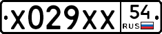 Х029ХХ54 - 