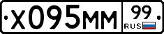 Х095ММ99 - 