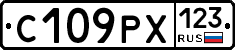 С109РХ123 - 