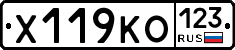 Х119КО123 - 