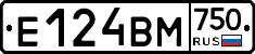 Е124ВМ750 - 