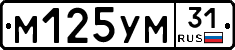 М125УМ31 - 