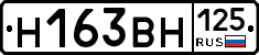 Н163ВН125 - 