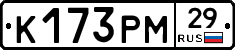 К173РМ29 - 