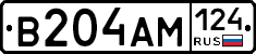 В204АМ124 - 