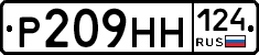 Р209НН124 - 