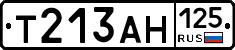Т213АН125 - 