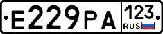 Е229РА123 - 