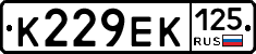 К229ЕК125 - 