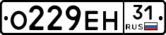 О229ЕН31 - 