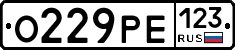 О229РЕ123 - 
