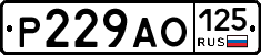 Р229АО125 - 