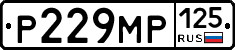 Р229МР125 - 