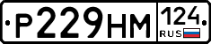 Р229НМ124 - 