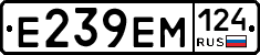 Е239ЕМ124 - 