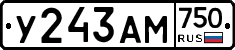 У243АМ750 - 