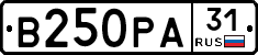 В250РА31 - 