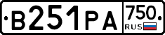 В251РА750 - 