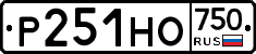 Р251НО750 - 