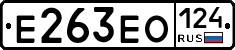 Е263ЕО124 - 