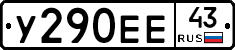У290ЕЕ43 - 