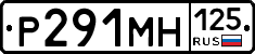 Р291МН125 - 