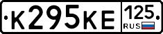 К295КЕ125 - 