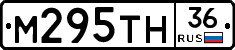 М295ТН36 - 