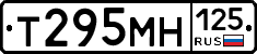 Т295МН125 - 