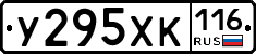 У295ХК116 - 