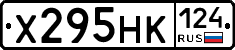 Х295НК124 - 