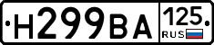 Н299ВА125 - 