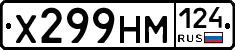 Х299НМ124 - 