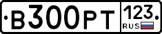 В300РТ123 - 
