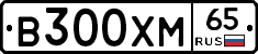 В300ХМ65 - 