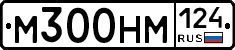 М300НМ124 - 
