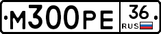 М300РЕ36 - 