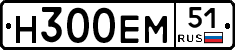 Н300ЕМ51 - 