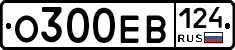 О300ЕВ124 - 