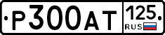 Р300АТ125 - 