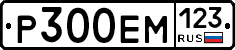 Р300ЕМ123 - 